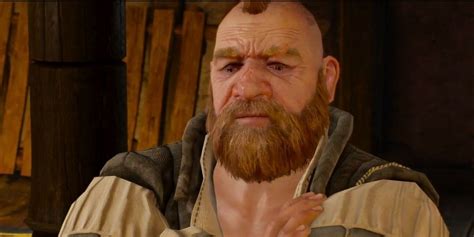 witcher 3 zoltan